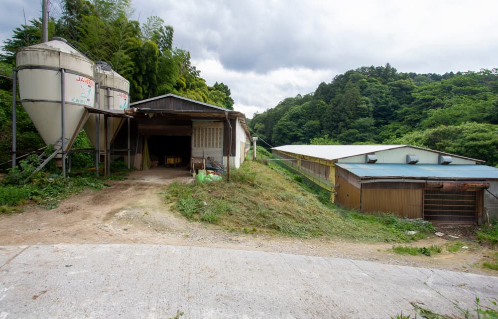 福島県産の米、自家製飼料、矢祭町の水にこだわった希少な米たまご